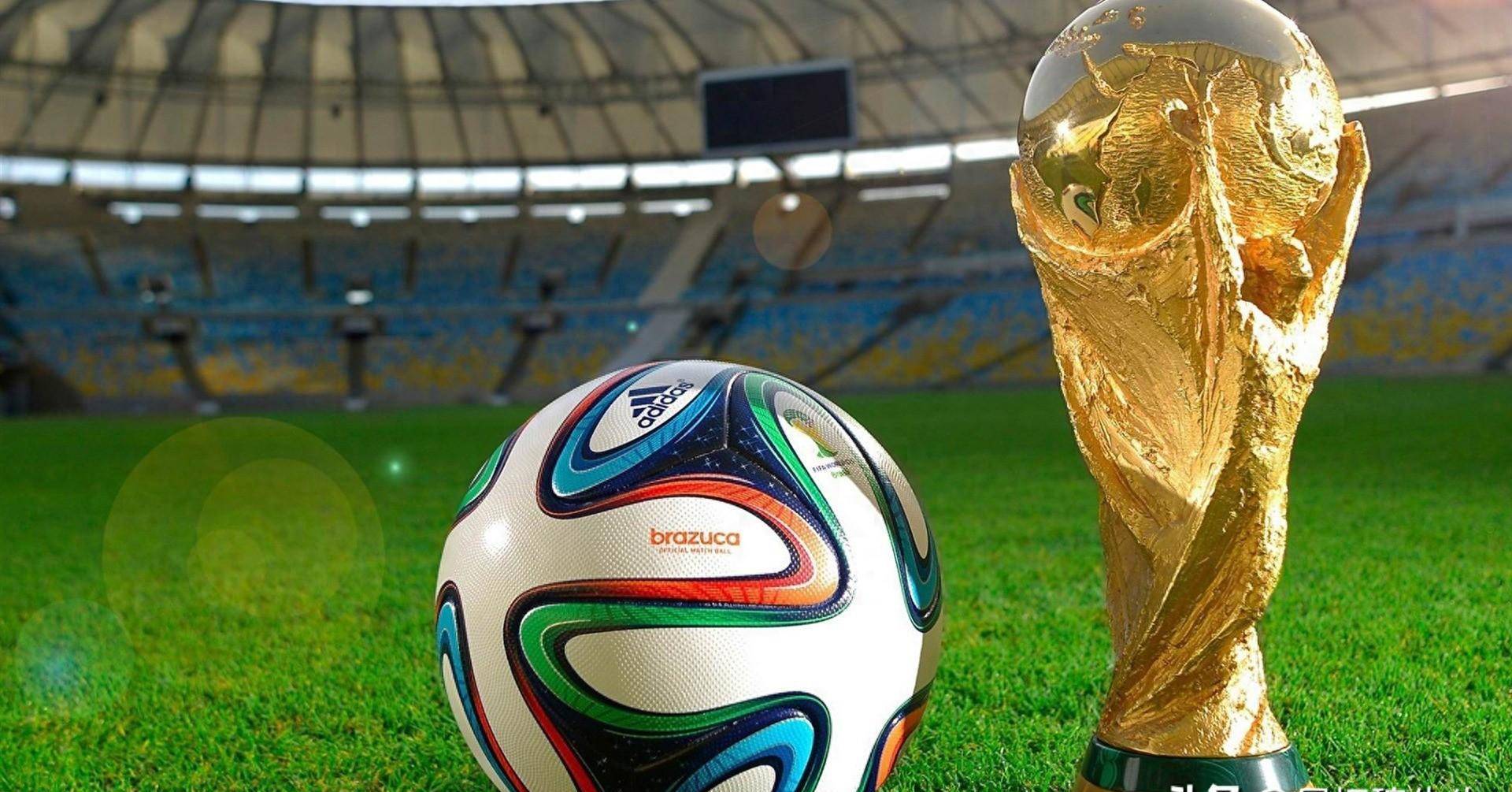 依赖某一权 依赖某一权