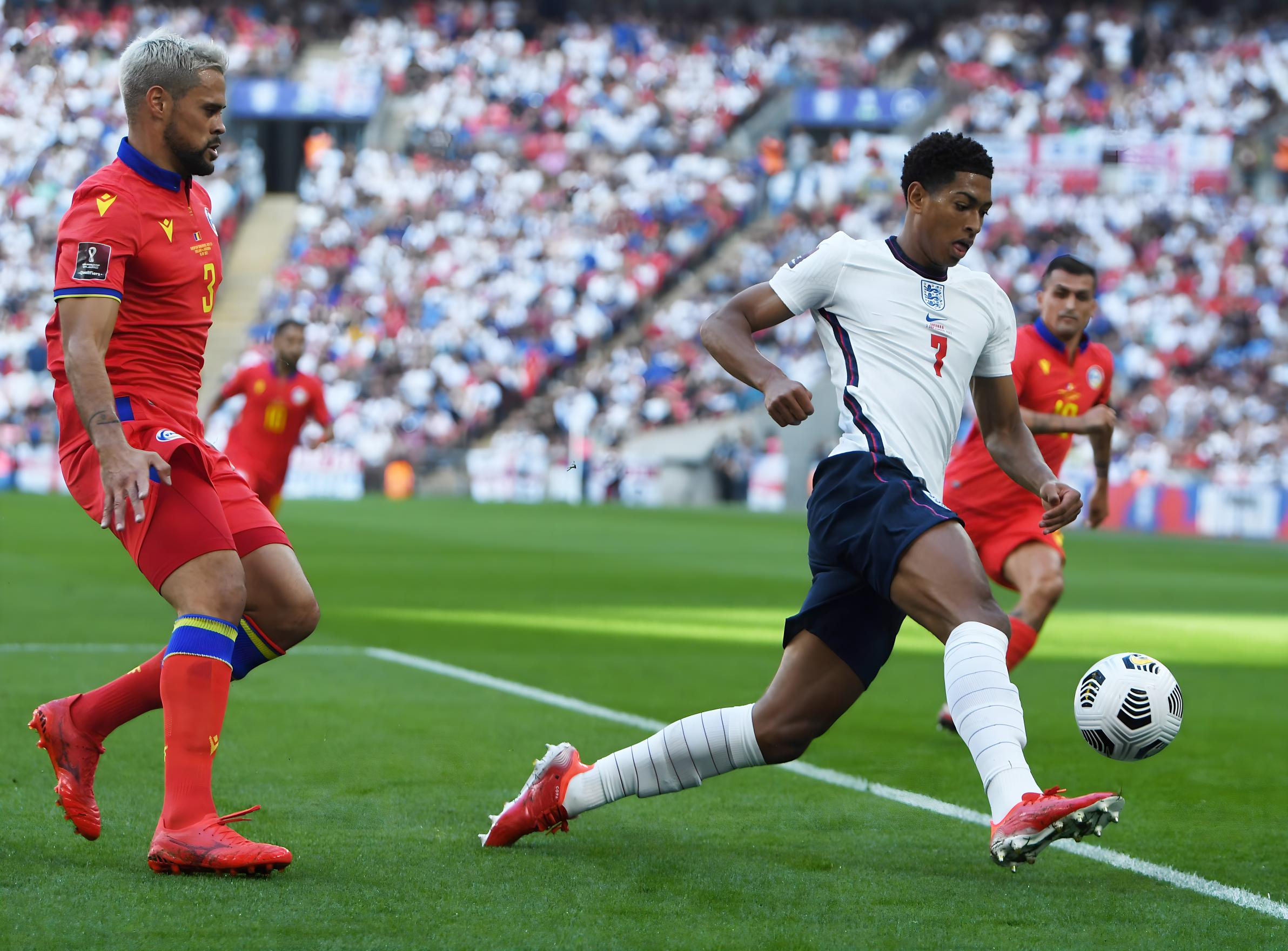 水晶宫球迷 水晶宫球迷